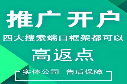 初学者的百度竞价推广：成功案例揭秘